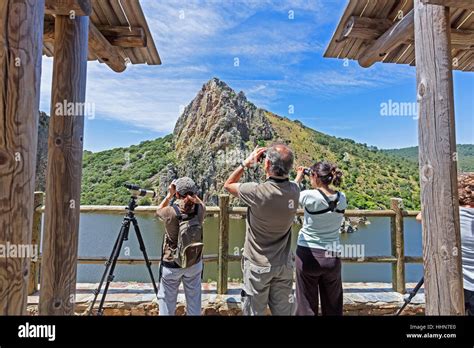 Parque Nacional De Monfrag E Provincia De C Ceres Extremadura Espa A