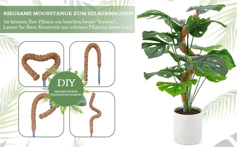 Moosstab für Monstera 120cm Biegsame Pflanzenstütze für Indoor