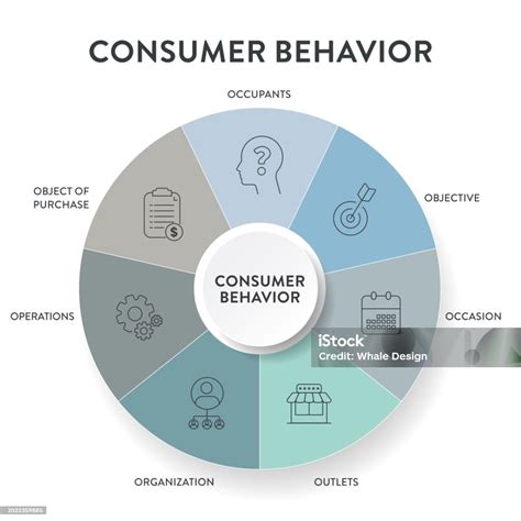 Consumer Behavior Strategy Framework Infographic Diagram Chart ...