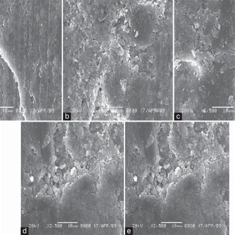 Examples of scanning electron microscope images belonging to the ... 
