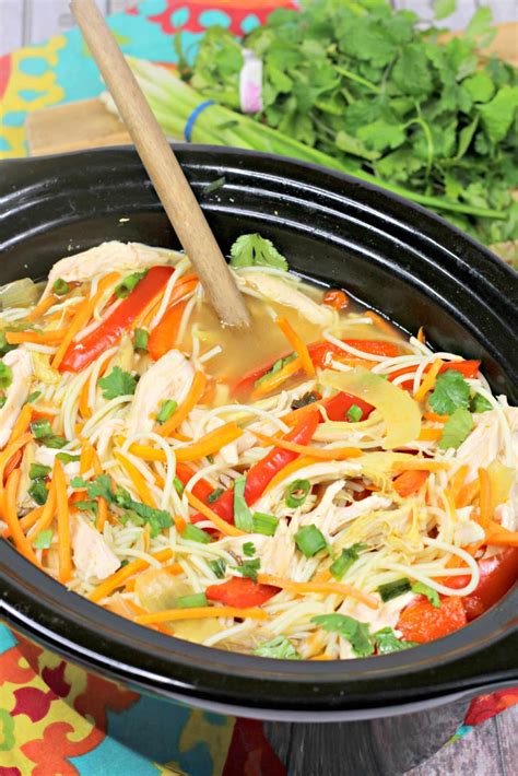 Slow Cooker Chicken Noodle Soup With An Asian Twist