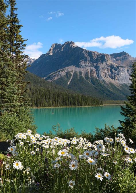 Lac Émeraude Parc National Yoho Rocheuses canadiennes Canada