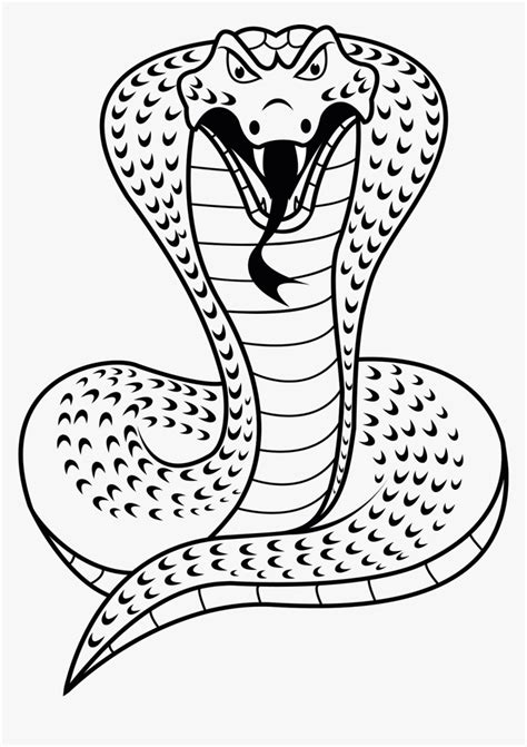 Cobra Naja Desenho Cobra Snake Clipart Black And White HD Png