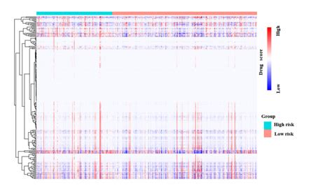 Anoikis Related Mrna Lncrna And Dna Methylation Profiles For Overall