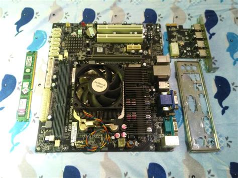 Jual Paket Mobo Am3 And Amd Athlon Ii X3 450 And Ddr3 4gb Free Pci E Usb 3 0 Hub Di Lapak Casual