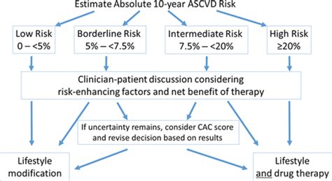 Use Of Risk Assessment Tools To Guide Decision Making In The Primary