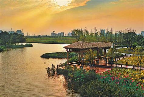 Guangzhouhaizhu Wetland Park Wins China Habitat Environment Prize