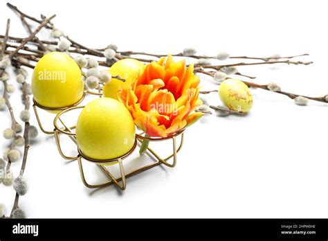 Holder With Painted Easter Eggs Tulip Flower And Pussy Willow Branches On White Background