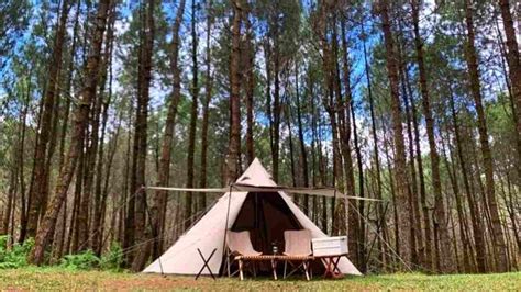 Tangkal Pinus Jayagiri Objek Wisata Camping Terbaru Di Bandung