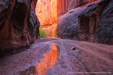 Paria River Canyon Action Photo Tours