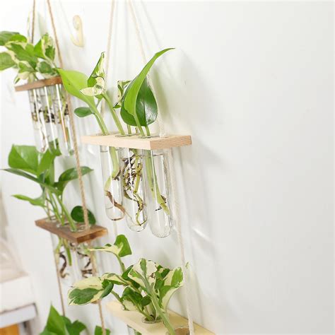 Plant Propagation Station Wall Mounted Test Tube Vase With Wooden