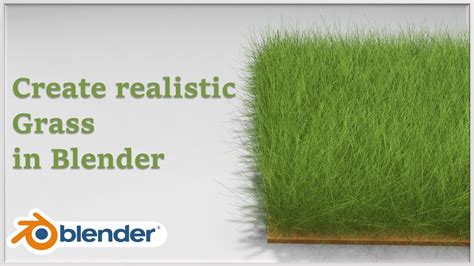 Make Quick Realistic Particle Grass In Blender With Simple Steps Quick Tutorial Youtube