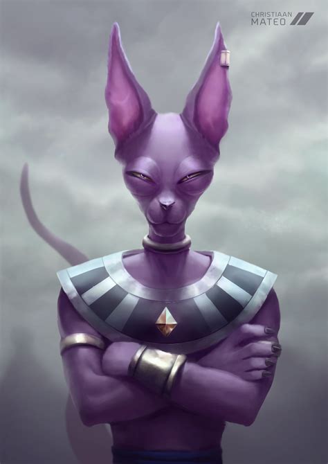 Beerus Dragon Ball Z Https Facebook Christiaanmateoc