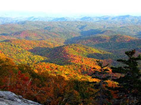 The 15 Best Boone NC Hiking Trails to Explore