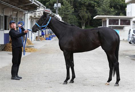 【オークス】ユーバーレーベン75点 毛ヅヤもう少しほしい― スポニチ Sponichi Annex ギャンブル