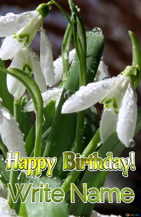 Spring Flower Happy Birthday! Write Name Free Image - 3266