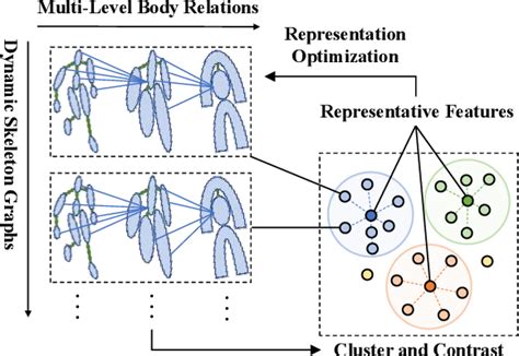 Figure 1 From Skeleton Prototype Contrastive Learning With Multi Level Graph Relation Modeling