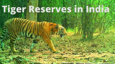 Tiger Reserves In India List