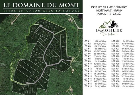 Projet Domiciliaire Domaine Du Mont