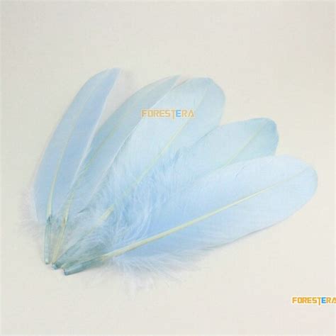 Light Blue Feathers Etsy