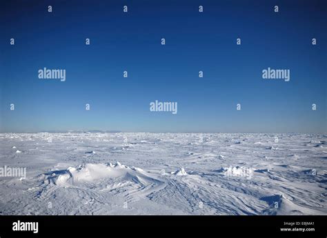 Iceberg Blu Antartico Antartide Immagini E Fotografie Stock Ad Alta