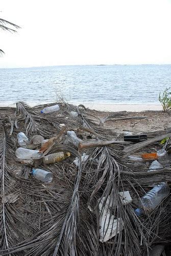 Plástico Predomina Entre Contaminantes De Playas Nacionales