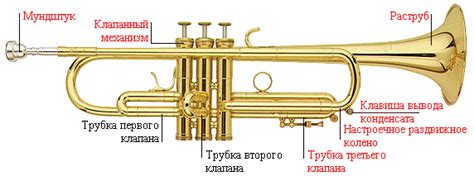 Статья о Трубе | Музыкальные инструменты, материалы, строение, виды ...