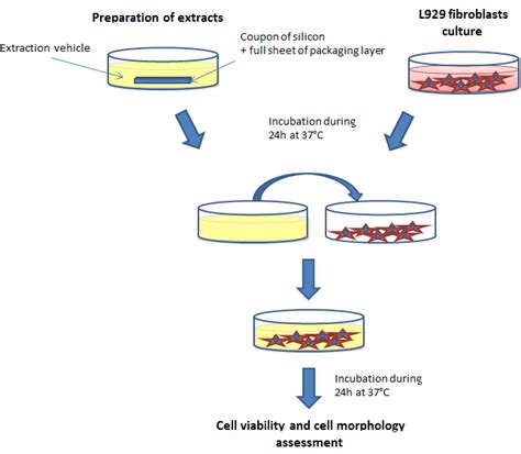 Scheme Of The Cytotoxicity Test By The Extraction Method Of Iso