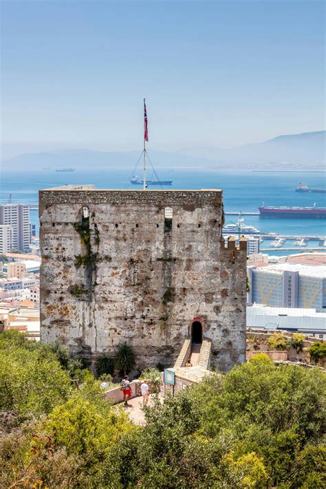 Gibraltar day trip with dolphin-watching boat tour and Rock visit | TUI