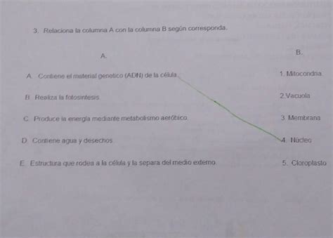 Relaciona La Columna A Con La Columna B Seg N Corresponda A A