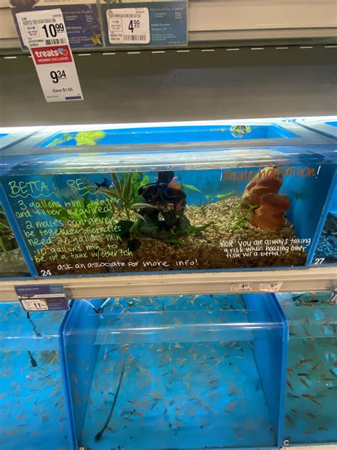 Vets debate the efficiency of dog shots petsmart versus local clinics 6