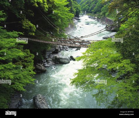 vine bridge  iya valley miyoshi tokushima prefecture japan stock
