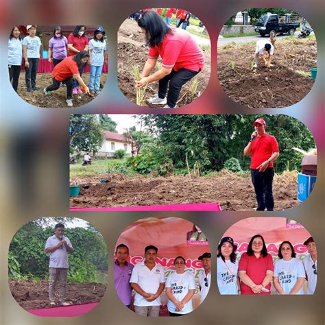 Kerjasama Pemkab Minsel GMIM Lucurkan Program Menanam Dan Beternak