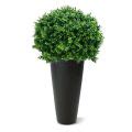 Buxus Bol Deluxe Kunstplant Cm N Maxifleur Kunstplanten