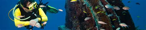 Artificial reefs breathe new life into ecosystems | 2017 Annual Report