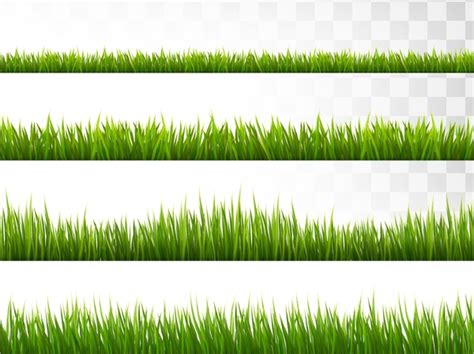 Grass Blades Vector At Collection Of Grass Blades Vector Free For Personal Use