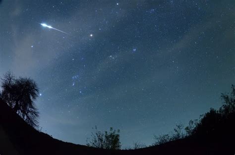 The Origins and Composition of Meteor Showers