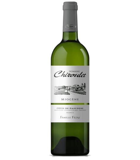 Domaine Chiroulet Mioc Ne Grand Vin Blanc Sec C Tes De Gascogne