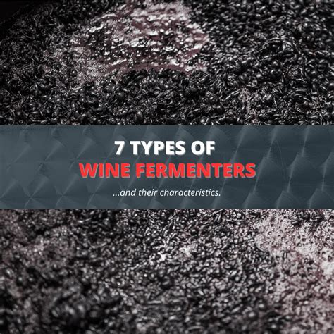 7 Types Of Wine Fermenters And Their Characteristics Letina