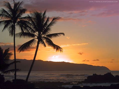 🔥 [40+] Hawaiian Beach Pictures Wallpapers | WallpaperSafari