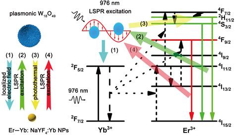 Selective Enhancement Of Green Upconversion Luminescence Of Eryb Nayf