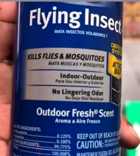 Hot Shot Vs Raid Flying Insect The Ultimate Guide