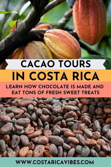 Costa Rica Chocolate Tours A Fun Activity For All Ages Costa Rica