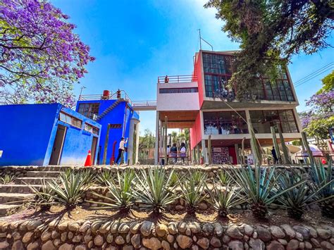 Everything You Need To Know About The Incredible Museo Casa Estudio