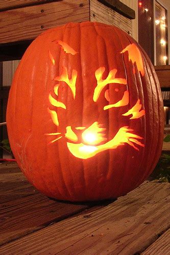 CAT'S EYES: 13 Cat Pumpkin Carving Ideas for Halloween