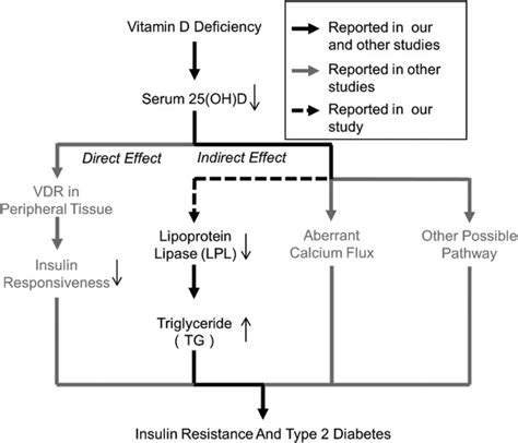 Putative Scheme Of Effect Of Vitamin D On Insulin Resistance And Type 2