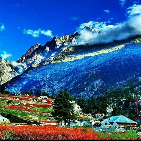 rakchham valley nature camps sangla himachal pradesh campground