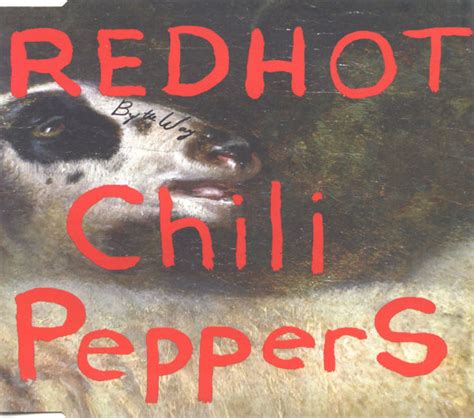 Red Hot Chili Peppers By The Way CD CD Single R Discogs