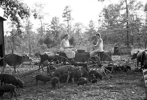 Shelling Peanuts, 1935 Photograph by Granger - Fine Art America