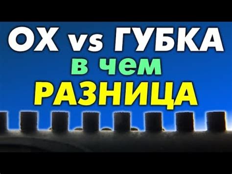 ДЛИННЫЕ ШИПЫ на губке и ОХ - чем отличаются, про разницу в игре ...